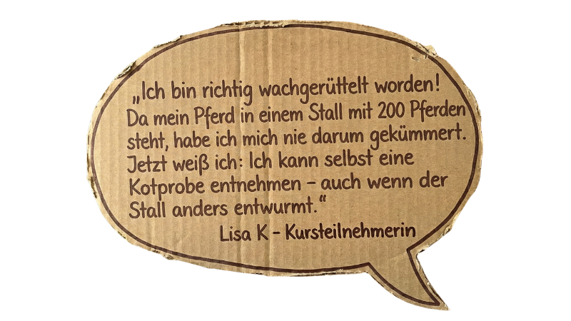 Lisa K. – Kursteilnehmerin: Ich bin richtig wachgerüttelt worden!